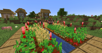 Village