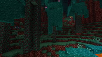 Bearded Warped Fungus + Bouncy Shrooms