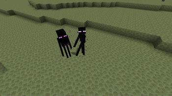 Enderman in the End