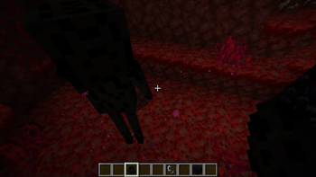 Enderman in the Nether