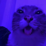 NoxVx7