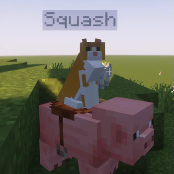 Squash Hog Rider