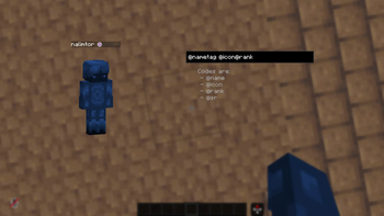 Nametag customization