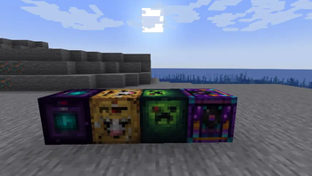 ALL 4 Types of TNT