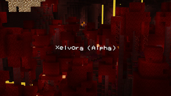 Nether