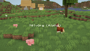 Overworld