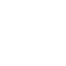 Icon for NionStudio
