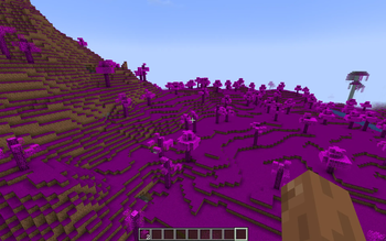 My biome!