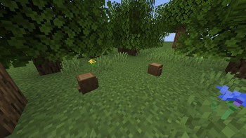 Oak Stumps