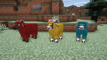 Sheep fully dyed wool