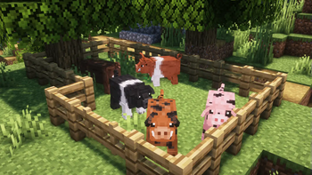 Pig Variants