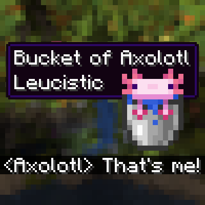 Entity Item Tooltips