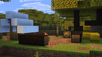 Campsite