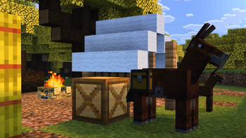 Campsite