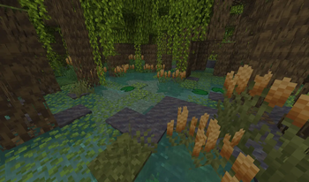 Swamp Vegetation