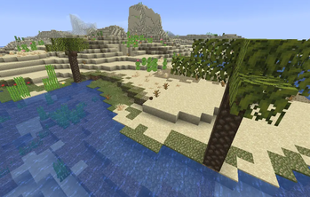 Desert Vegetation