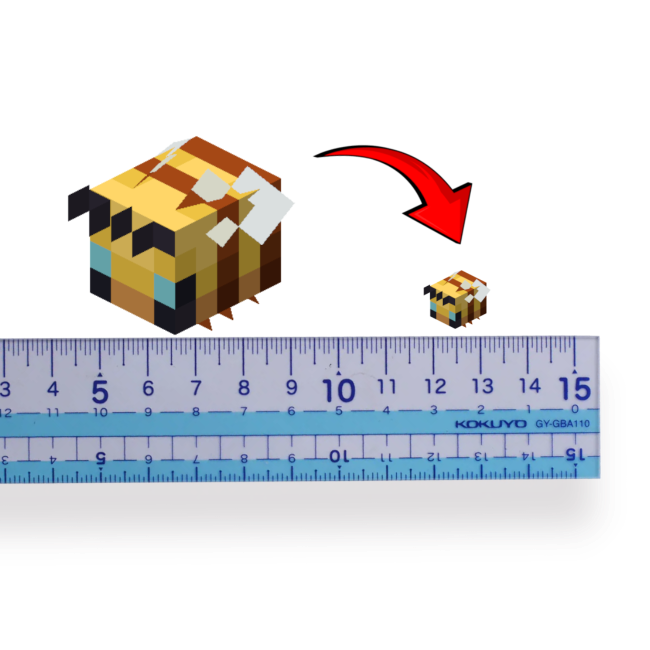 Real Scale