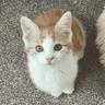 catacombsguy