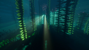 Kelp Forest