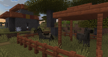 Husk Horses