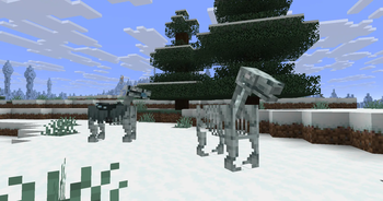 Stray Horses