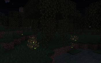 Fireflies in Swamp
