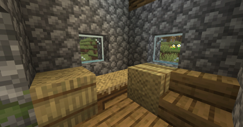 Straw Bed & Bales! 