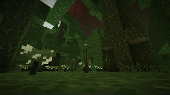 Kelly forest, new nether biome