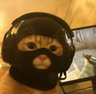RDRgamer6933