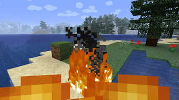 without resourcepack