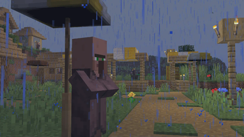 Shelter