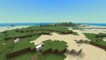 Sunny Plains