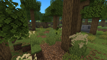 Wild Forest
