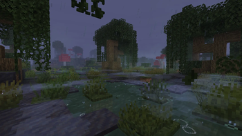 Raining In Swamp
