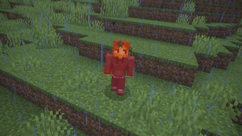 Rain Damage