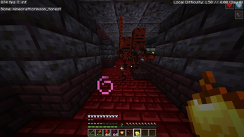 Magma night