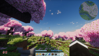 Survival HUD