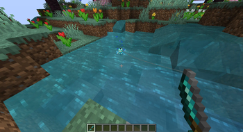Fishing in a pond