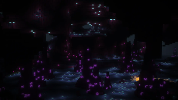 Complementary Reimagined Shaders Pic