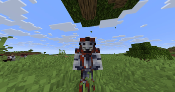 Armor on Player
