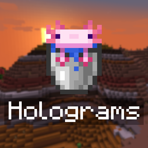 Holograms