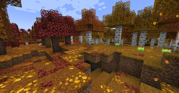 Sunset Valley