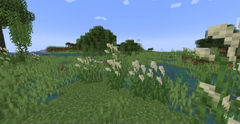 Marsh