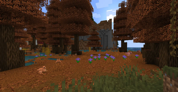 Dawn Redwood Swamp