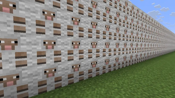 wall of sheep