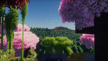 A very big forest