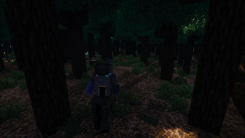 Updated to 1.21.11