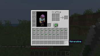 Item in inventory