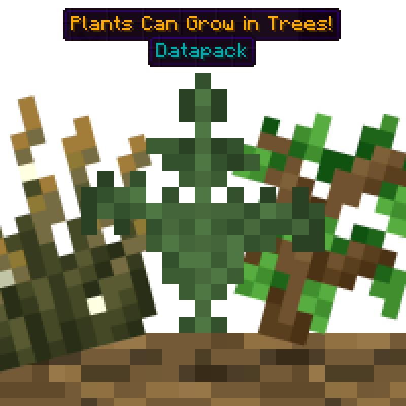 Plants Can Grow in Trees!
