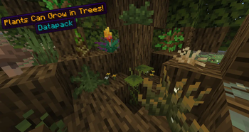 Demo Video Thumbnail